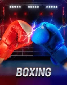 ah88 website image 25 showing boxing